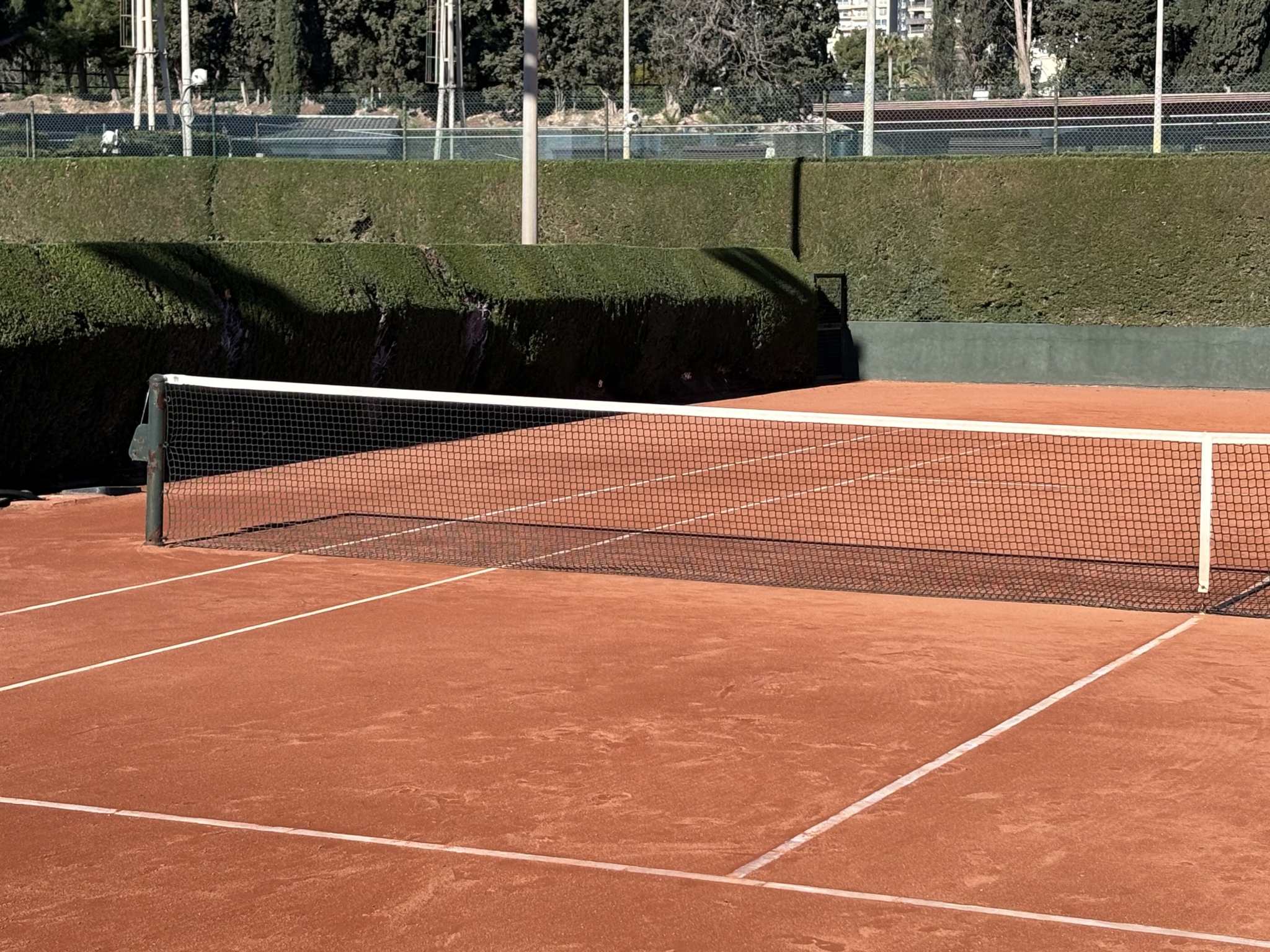 Empty clay tennis court with net and surrounding greenery under daylight for expert tennis instruction guide