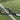 Mantis beginner tennis racket with black and pink frame lying on artificial turf near net line