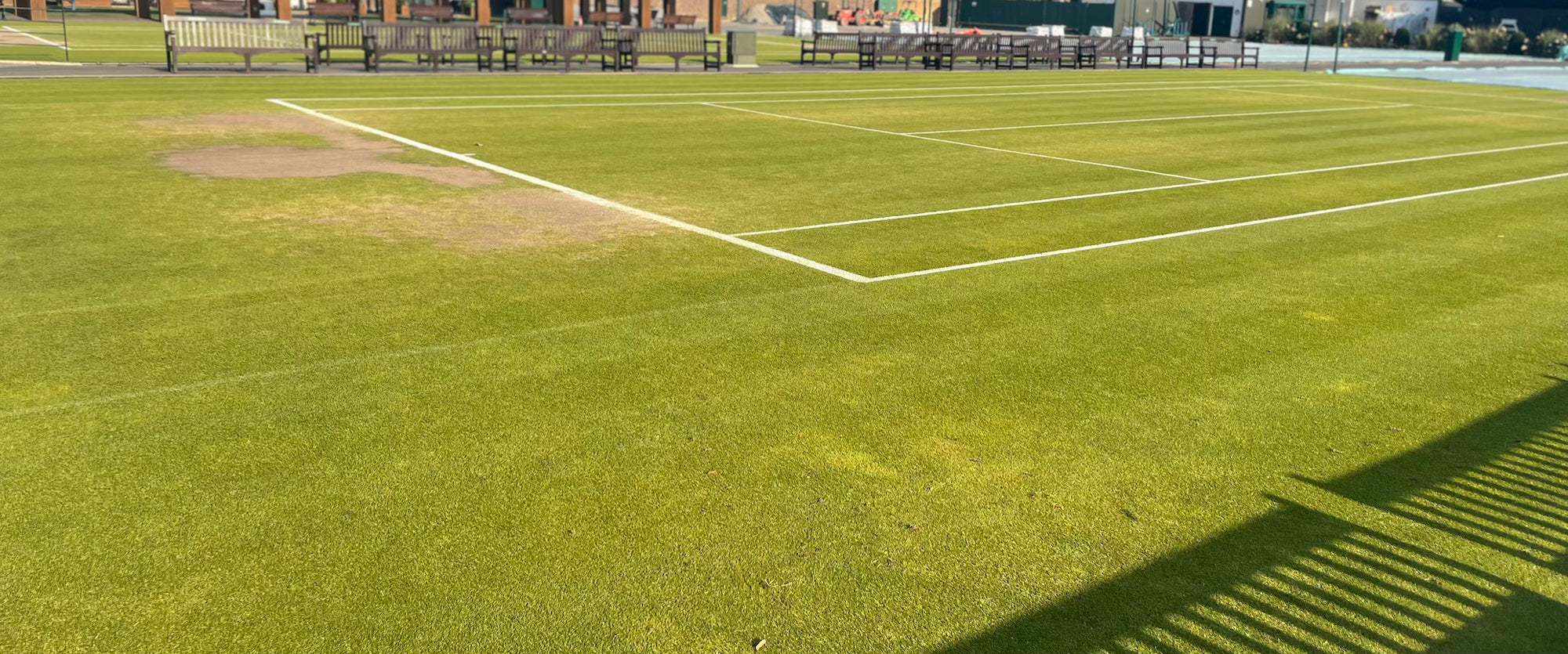 Grass court tennis court with worn patches and white boundary lines under sunlight