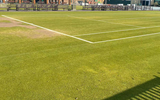 Well-maintained grass court tennis field with marked white boundary lines and benches in the background