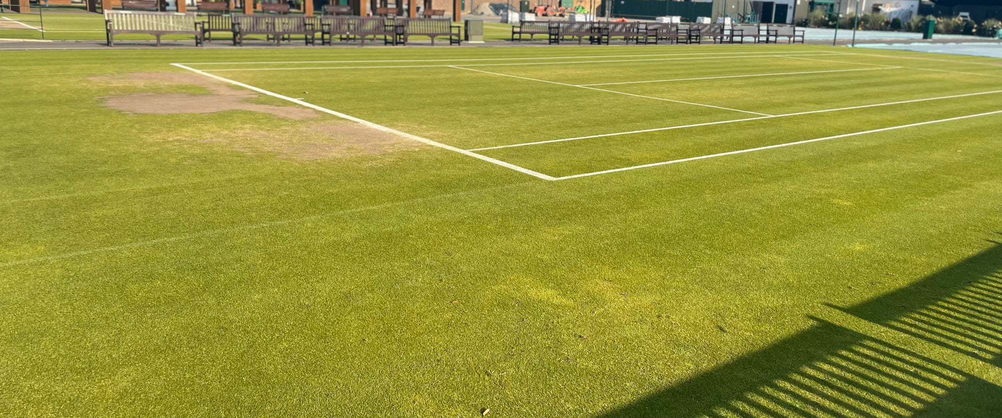Worn grass court tennis surface with white boundary lines and surrounding wooden benches under sunlight