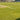 Grass court tennis court with worn areas, highlighting maintenance challenges and unique play conditions.