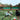 tennis player performing fitness training with agility ladder drills and resistance exercises on court