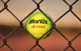 Mantis all court tennis ball stuck in chain-link fence close-up at sunset