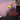 tennis player hitting a forehand with strong topspin on clay court showing ball rotation and flight trajectory