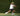 Tennis player performing explosive gym training for power and endurance