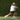 Tennis player performing explosive gym training for power and endurance