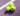 Close-up of multiple best tennis balls for club players on a tennis court surface.