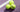best tennis balls for club players