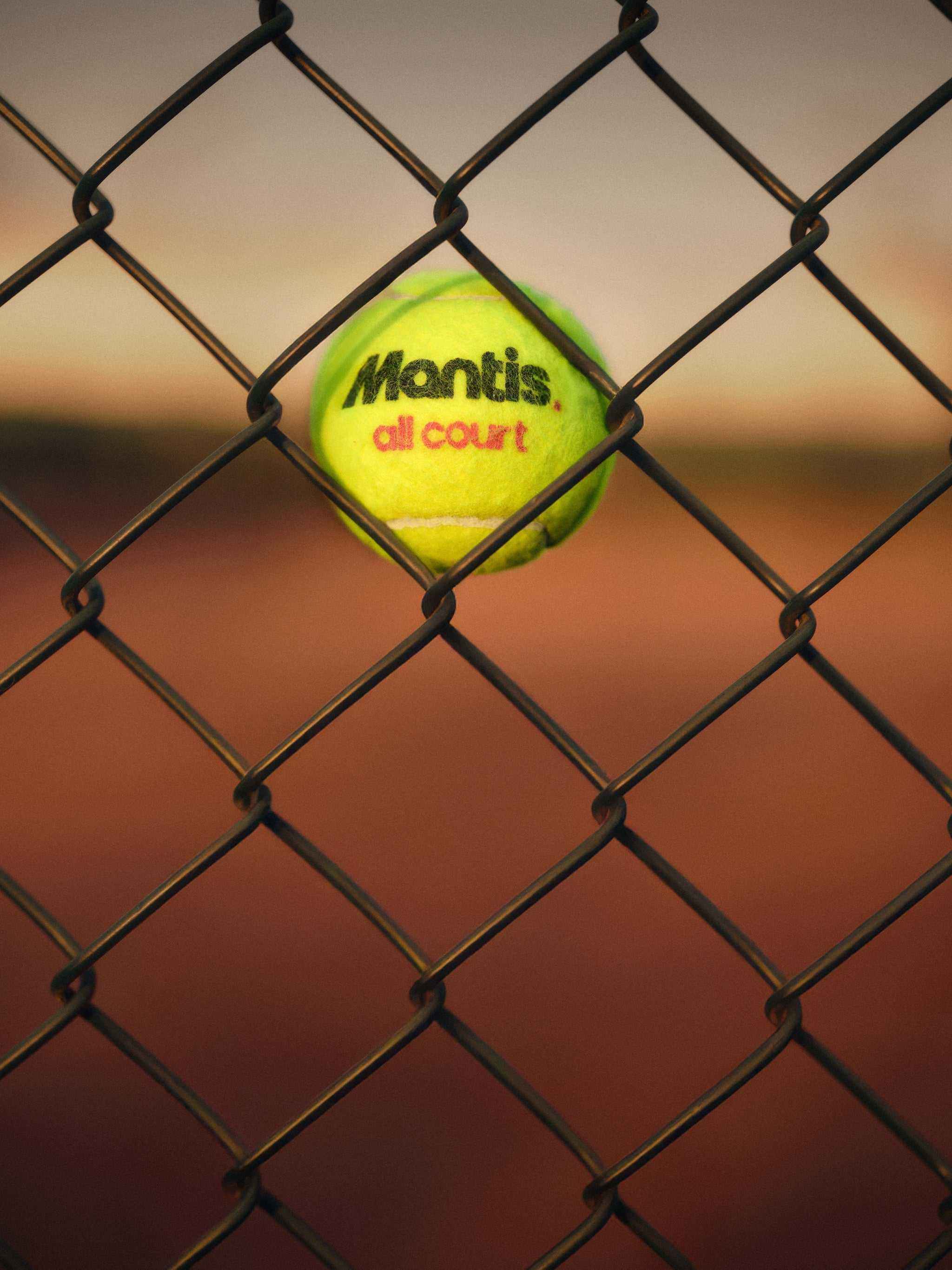 Mantis tennis ball stuck in chain-link fence with sunset background to keep tennis balls fresh and bouncy