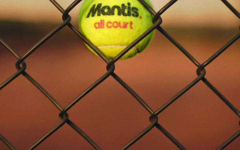 Mantis yellow tennis ball stuck in chain-link fence with blurred tennis court background
