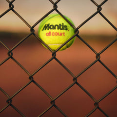 Mantis tennis ball stuck in chain-link fence on tennis court at sunset keeping balls fresh