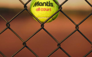 Mantis tennis ball stuck in chain-link fence on outdoor court at sunset